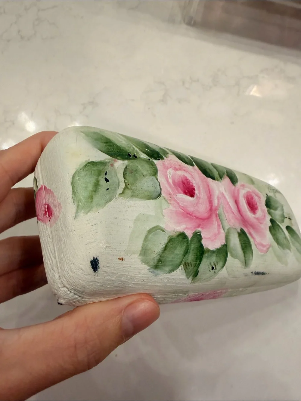 Maui Jim Pink Rose Floral Cosmetic Case with Green Leaves
